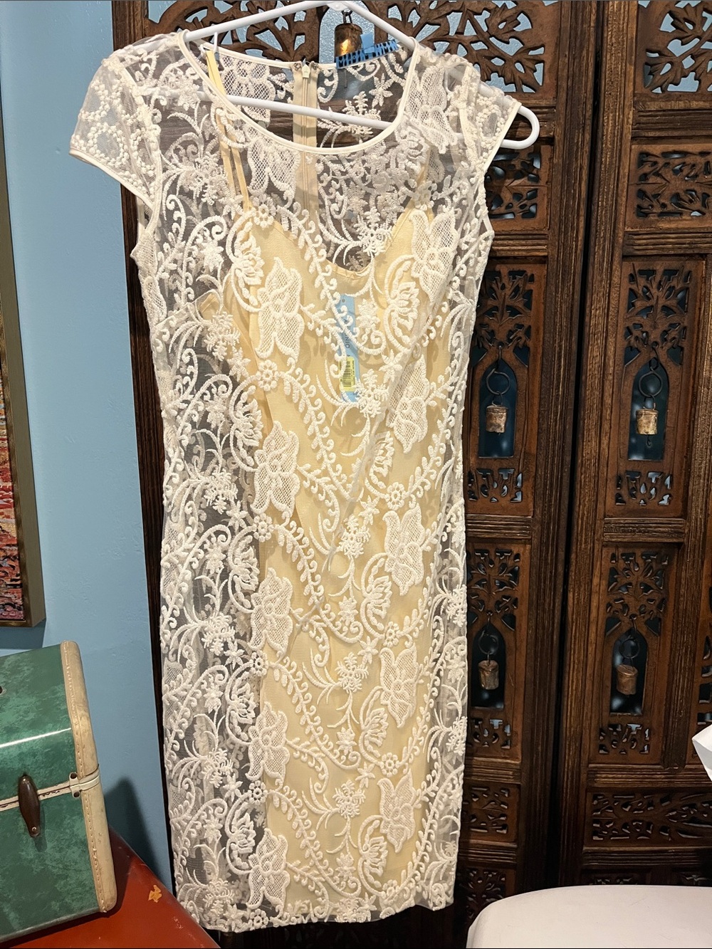 ANTONIO MELANI Lace Overlay Dress in Ivory and Champagne